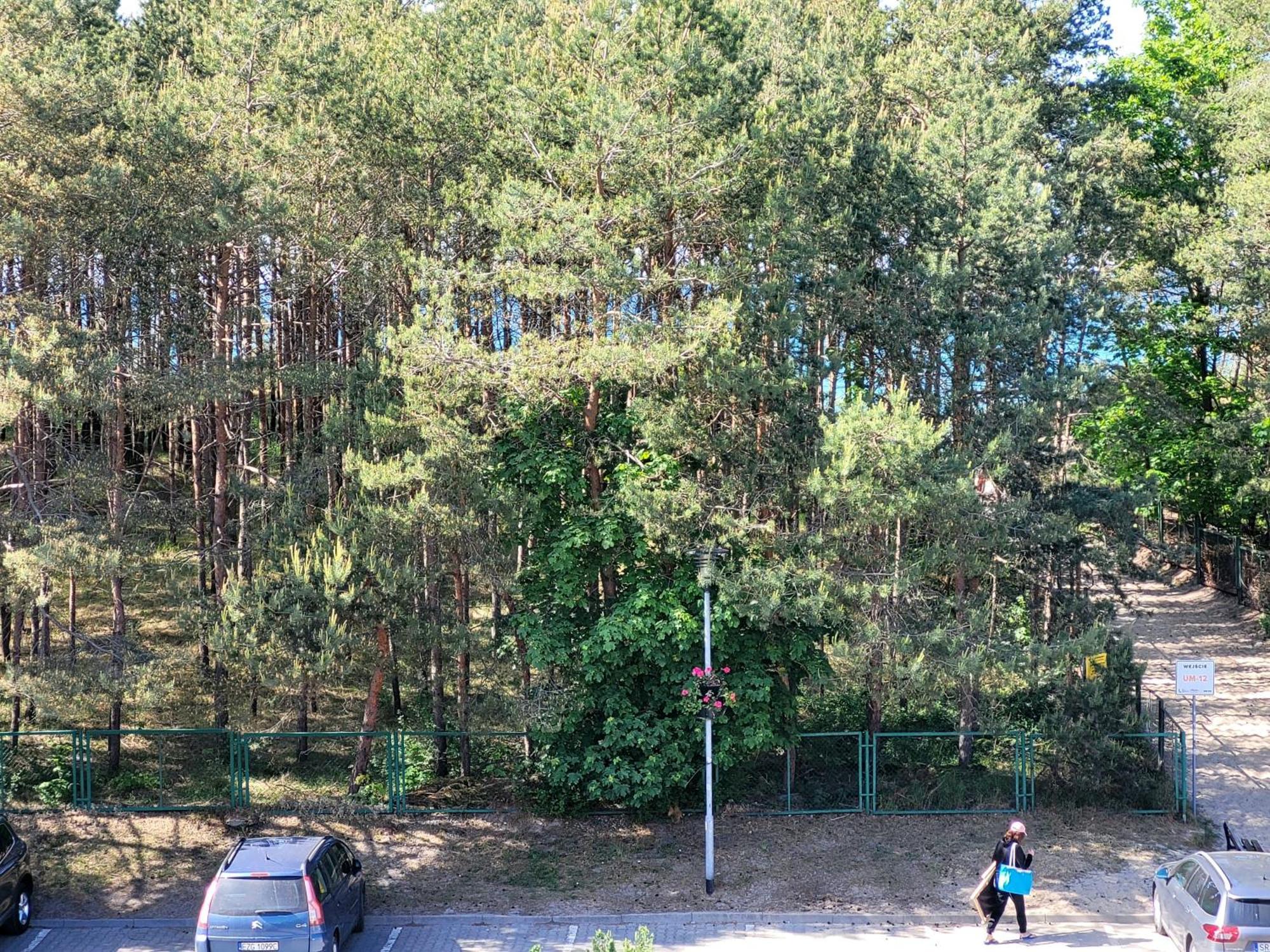Renatka Przy Plazy Apartment Uniescie Exterior photo